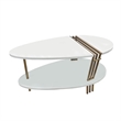 36 Inch Modern Coffee Table-White Mango Wood With Antique Brass