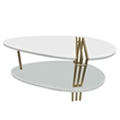 36 Inch Modern Coffee Table-White Mango Wood With Antique Brass