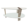 36 Inch Modern Coffee Table-White Mango Wood With Antique Brass