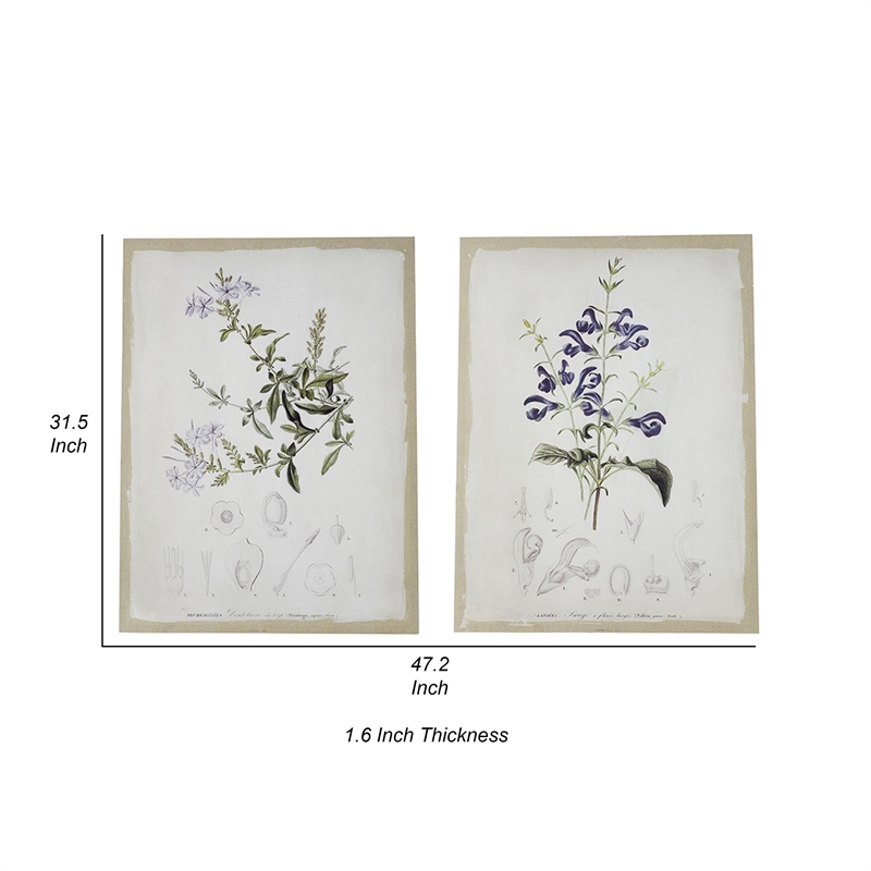 Benjara 24 x 32 Set of 2 Framed Wall Art Prints- Floral- Modern White and Black