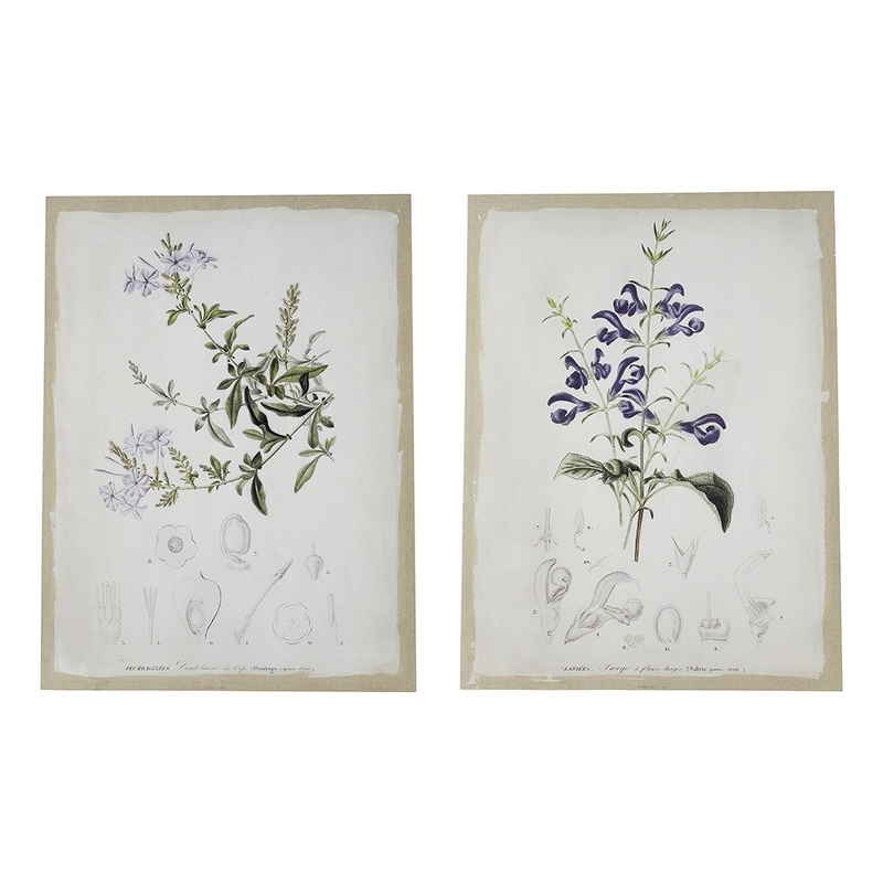 Benjara 24 x 32 Set of 2 Framed Wall Art Prints- Floral- Modern White and Black