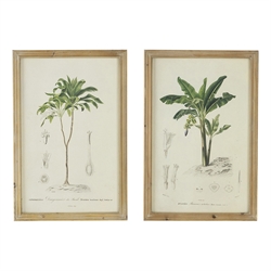 Prints / Paintings