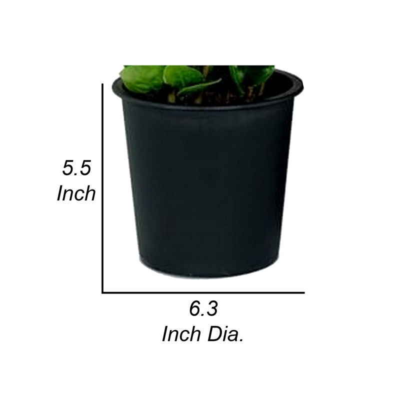 Benjara Kiti 6