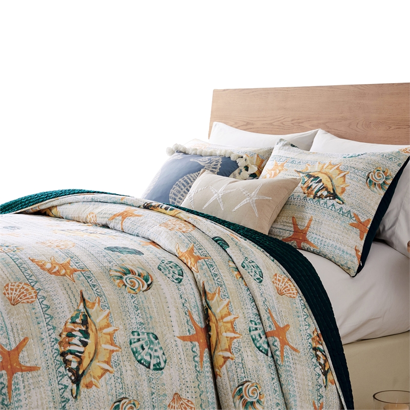 Benjara Carie 3pc Full/Queen Quilt Set-Coastal Seashells-Blue Cotton Microfiber