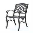 Benjara Toni Outdoor Armchair - Copper Metal