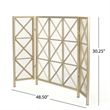 Benjara Fireplace Screen-49