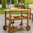 Benjara Rolling Bar Cart- 36