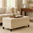Benjara Rhya Storage Bench- 50