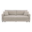 Benjara Isy Sofa with Pull Out Sleeper- Removable Cushions- 2 Pillows- Beige
