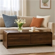 Benjara Maria Coffee Table- 2 Drawer and Waterfall Style- Brown Wood 47 Inch
