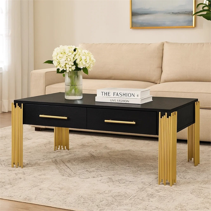 Benjara Theo Coffee Table- 2 Drawers- Gold Metal- Retro Black Wood 48 Inch