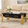 Benjara Theo Coffee Table- 2 Drawers- Gold Metal- Retro Black Wood 48 Inch