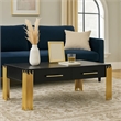 Benjara Theo Coffee Table- 2 Drawers- Gold Metal- Retro Black Wood 48 Inch
