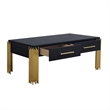 Benjara Theo Coffee Table- 2 Drawers- Gold Metal- Retro Black Wood 48 Inch