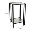 Benjara Buckley Plant Stand Table- Black Metal- Square Mirrored Top- 22 Inch