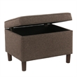 Benjara Fero Storage Ottoman- 24