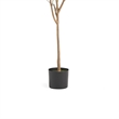 Benjara Zylo Faux Tree Eucolites Plant- 59 Inch- Green Polyester