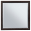 Benjara Amber Dresser Mirror- Brown Wood Frame- Beveled Mirror Glass- 38 Inch