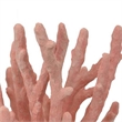 Benjara Lyla Coral Tabletop Decor- Branching Design Pink Resin- 13 Inch