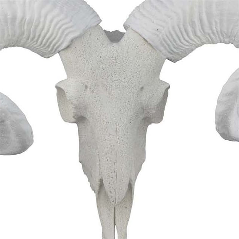 Benjara Mitch Bighead Sheep Ram Sculpture w Curved Horns- White Resin 16 Inch