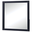 Benjara Dex Rectangular Dresser Mirror- Non-Beveled Glass- Black Wood-Melamine