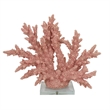 Benjara Coral Tabletop Decoration- Pink Resin with Acrylic Base- 13 Inch