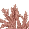 Benjara Coral Tabletop Decoration- Pink Resin with Acrylic Base- 13 Inch