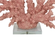 Benjara Coral Tabletop Decoration- Pink Resin with Acrylic Base- 13 Inch