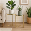 Benjara Modern Plant Stand Table Set of 2- Round Mirror Top- Gold Metal Base