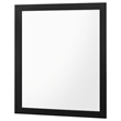 Benjara Dle Rectangular Dresser Mirror- Flush Frame- Flat Glass- Black Wood