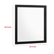 Benjara Dle Rectangular Dresser Mirror- Flush Frame- Flat Glass- Black Wood