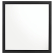 Benjara Dle Rectangular Dresser Mirror- Flush Frame- Flat Glass- Black Wood