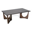 Benjara Natra Coffee Table- 52