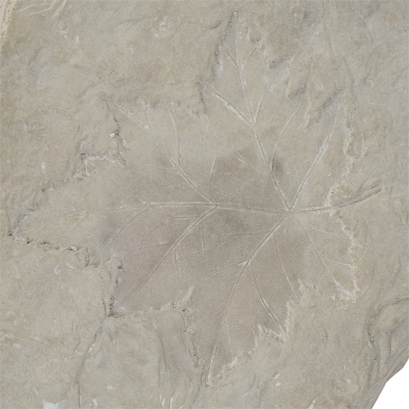 Concrete Fossil Accent Stone with Maple Leaf Imprint- White