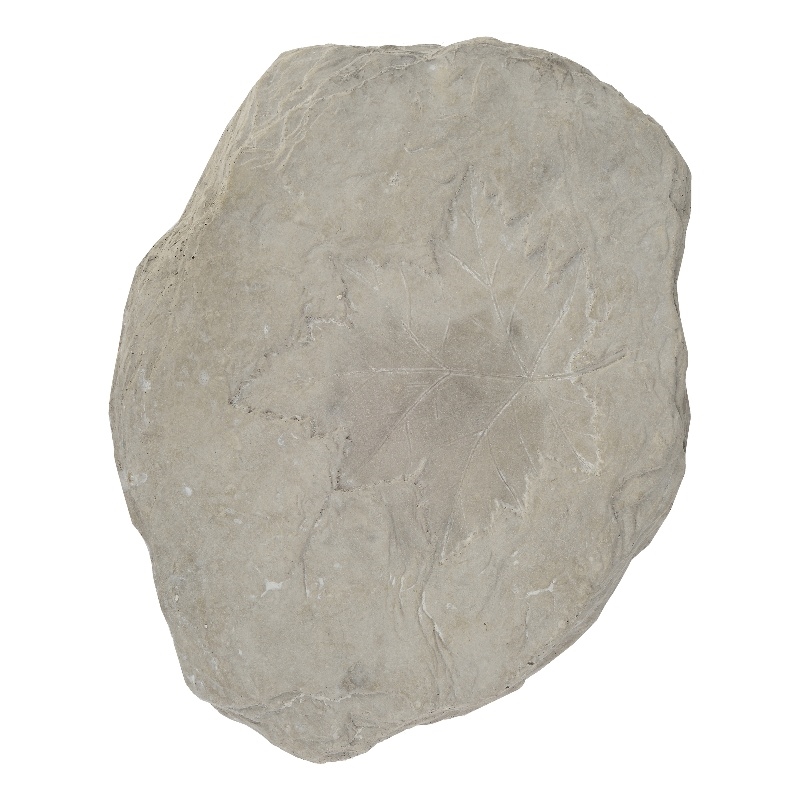 Concrete Fossil Accent Stone with Maple Leaf Imprint- White