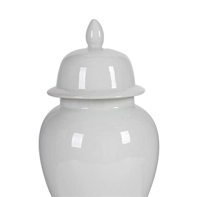 Kipp Decorative Porcelain Ginger Jar with Lidded Top- Large- White