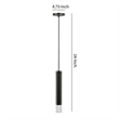 Benjara Hexagonal Metal Frame Single LED Light Pendant with Glass Diffuser-Black