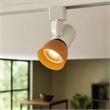 Benjara 10W Integrated LED Track Fixture with Polycarbonate Head- Orange & White
