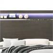 Benjara Wooden Eastern King Bed with LED Storage Shelf- Gray