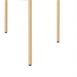 Benjara End Table with Metal Tube Legs- White and Gold