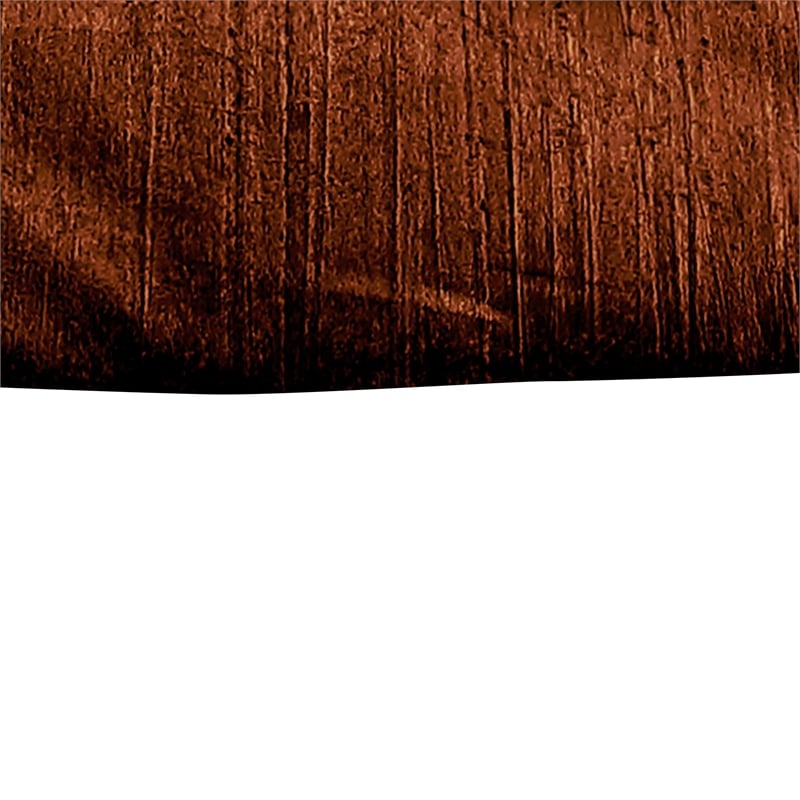 Benjara Jay 2 Piece Twin Comforter Set- Copper Polyester Velvet Deluxe Texture