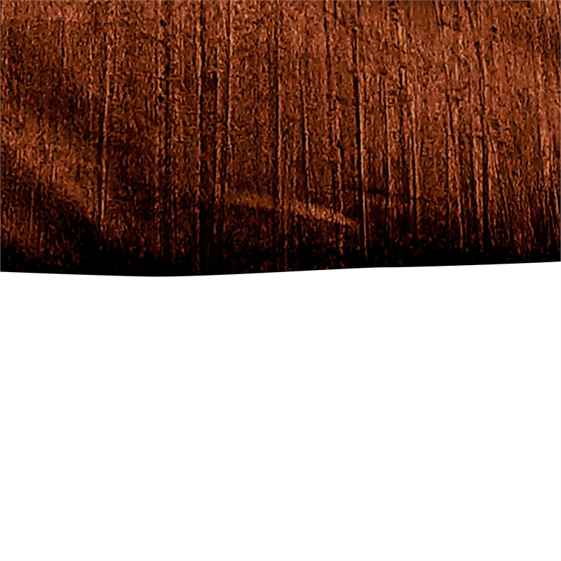 Benjara Jay 2 Piece Twin Comforter Set- Copper Polyester Velvet Deluxe Texture