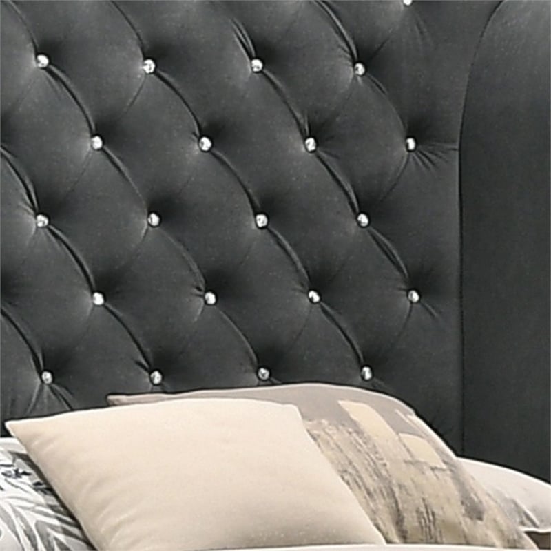 Benjara Giya Wingback Queen Bed- Tufted Headboard- Nailed Gray Velvet Upholstery