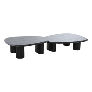 Benjara Cid Sami Coffee Table (Set of 2)- Freeform Shape- Black Solid Wood Frame