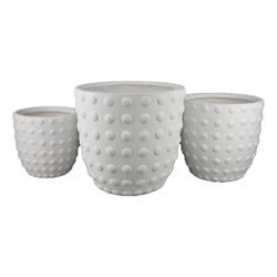 Plant Stands and Potting Benches
