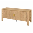 Hay TV Media Console- 47 Inch- 2 Doors w Adjustable Shelves- Beige