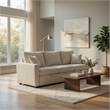 Dily Sleeper Sectional Sofa with Pull Out Bed and 2 Pillows- Beige