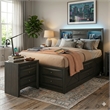 Queen Size Bedroom Set-Gray-Storage Bed with Drawers-2-Piece Set-Bed-Nightstand