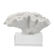 Davy Rising Faux Coral Accent- Clear Glass- Luxe White Polyresin 9 Inch