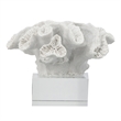 Davy Rising Faux Coral Accent- Clear Glass- Luxe White Polyresin 9 Inch